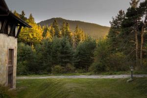 una casa con vistas a un bosque de árboles en Mountain Apartment in Borovets Ski Resort, en Borovets