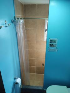 a bathroom with a shower curtain and a toilet at Torre al Sur in Ushuaia