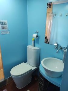 a blue bathroom with a toilet and a sink at Torre al Sur in Ushuaia