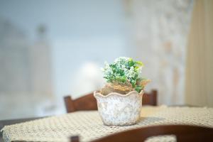 einer Topfpflanze auf einem Tisch in der Unterkunft Trulli di Nonno Carlo in Alberobello