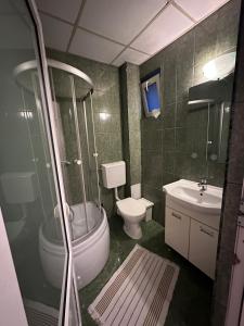 a bathroom with a shower and a toilet and a sink at Pensiunea Saseasca in Lereşti +31 photos