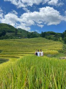 three people standing in a field of grass at Traditional Wooden house & trekking adventure in Sa Pa