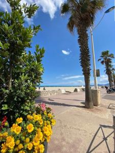 a sidewalk with flowers and a palm tree and the beach at Appartement T2 lumineux, moderne avec parking et wifi - 4SABLE16 in Canet-en-Roussillon