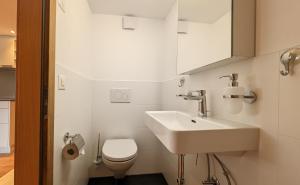 Imhof Alpine B&B Apartments的一间浴室