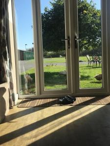 Um jardim em Formby Point