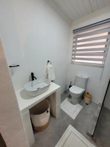 a bathroom with a sink and a toilet at Nguni House in Mataffin +29 photos