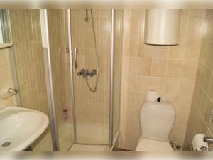 a bathroom with a shower and a toilet and a sink at Room in Studio - Condo Gardens Leuven - Budget Studio Single in Leuven