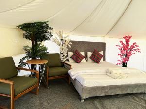1 dormitorio con 1 cama y 2 sillas y flores en Dream Desert Camp 