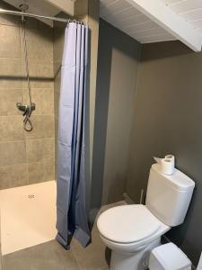 a bathroom with a toilet and a shower at Càmping Organyà Park in Organyà