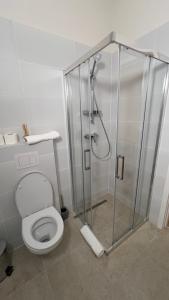 a bathroom with a shower and a toilet at Casa de Oaspeți Vulcan in Braşov