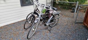 Deux vélos sont garés à côté d'une maison dans l'établissement "Dennenhuisje" op bospark IJsselheide Hattemerbroek, à Hattemerbroek