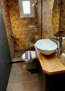 ein Bad mit einem Waschbecken, einem WC und einer Dusche in der Unterkunft Anastasia studio serres in Serres