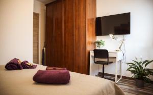 a bedroom with a bed with a desk and a chair at [Free Parking & Wi-Fi] 5 min to Hospital Cisanello in Pisa