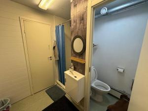 a bathroom with a toilet and a sink and a mirror at Northern Light Cabin with sauna by Torneriver in Kiruna