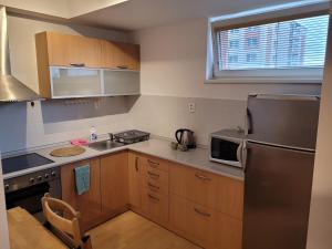 eine Küche mit Holzschränken und einem Kühlschrank aus Edelstahl in der Unterkunft Apartmán Neva Trnava in Trnava