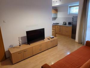 TV a/nebo společenská místnost v ubytování Apartmán Neva Trnava