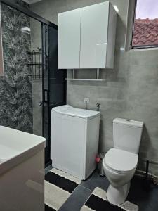 een badkamer met een wit toilet en een wastafel bij Unique apartment in the old part in Ohrid