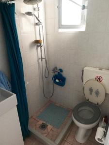 エギオにあるSpiti Ostriaの小さなバスルーム(トイレ、シャワー付)