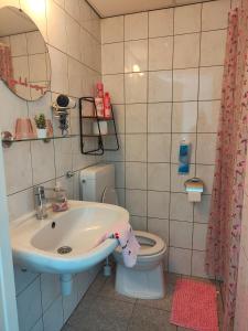 a bathroom with a sink and a toilet at Hotel B&B LeLa in Valkenburg