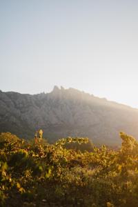 a view of a mountain in the distance at Hotel-Masia Can Farrés in El Bruc