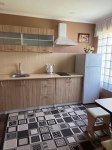 eine Küche mit einer Spüle und einem Kühlschrank in der Unterkunft ЭкоДом in Bilhorod-Dnistrowskyj