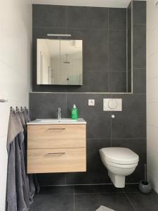 bagno con servizi igienici, lavandino e specchio di Ferienwohnungen Liliencron - Fewo II (Ferienhaus) a Enger