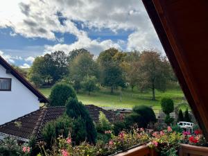 a view of a garden from a house at Fewo Judith in Freital