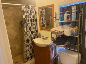ein Bad mit einem Waschbecken, einem WC und einer Dusche in der Unterkunft Mo Short Term Rentals in Mount Vernon