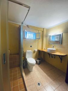 ein Bad mit einem WC und einem Waschbecken in der Unterkunft Elaiones house in Thessaloniki