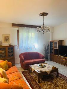 ein Wohnzimmer mit einem Sofa und einem Tisch in der Unterkunft Elaiones house in Thessaloniki