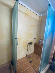 ein Bad mit einer Dusche und einer Glastür in der Unterkunft Elaiones house in Thessaloniki