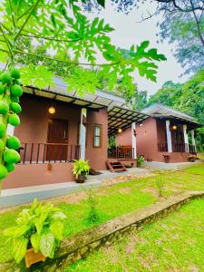 a view of a house from the yard at EdenHaven Cottage in Udawalawe