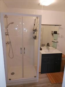 een badkamer met een douche en een wastafel bij SCI la malinoise in Albon