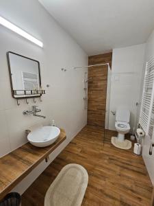 a bathroom with a sink and a toilet at Ubytovanie FUNSTAR Topoľčany in Topoľčany