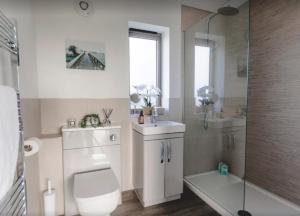 uma casa de banho com um WC, um lavatório e um chuveiro em "Constable" Eco Lodge with Private Hot Tub em East Bergholt
