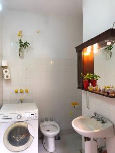 a bathroom with a toilet and a sink at CASA QUEER in Buenos Aires