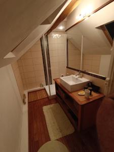 uma casa de banho com um lavatório e um espelho em Espace Des Fées em Saint Laurent Nouan