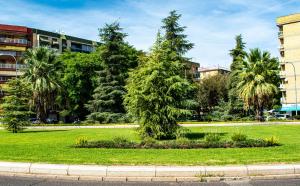 Jardí fora de Alojamiento entero, a diez minutos de La Judería