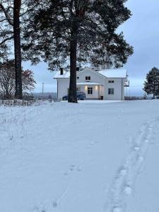 ein Haus auf einem schneebedeckten Hof mit einem Baum in der Unterkunft Lantligt boende in Luleå