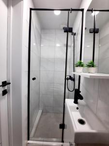 ein Bad mit einer Dusche und einem weißen Waschbecken in der Unterkunft P Komunos Apartamentai Netoli Akropolio in Klaipėda