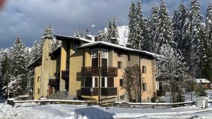 a large building in the snow with snow covered trees at Cosy Lodge un rifugio romantico nel cuore delle Dolomiti in Madonna di Campiglio