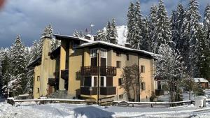 a large building in the snow with snow covered trees at Cosy Lodge in Madonna di Campiglio
