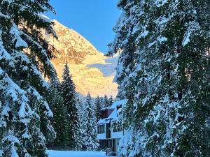 a house in the snow next to a mountain at Cosy Lodge in Madonna di Campiglio
