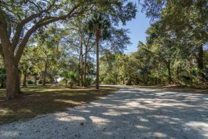a road with trees on the sides of it at Edisto Hidden Oasis in Edisto Island
