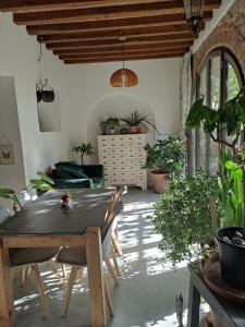 a dining room with a table and some plants at Casa Matta in Arezzo