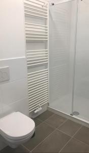 a white bathroom with a toilet and a shower at Schindler in Münchendorf