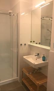 uma casa de banho com um lavatório e um chuveiro em Schindler em Münchendorf