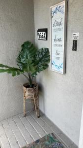 a plant in a wicker basket next to a wall at Spacious 5 BR Home with 3 Bath, 5 mins from SFO in San Bruno