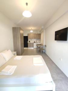 a living room with two beds and a tv at Sea View Apartments Nikos in Nea Peramos