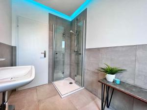 a bathroom with a shower and a sink at 4-Sterne Ferienwohnung Waldblick Schweinfurt in Schweinfurt +6 photos